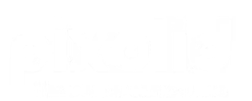 Pixolid Logo white